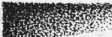 S. 556 Inserate (556)
