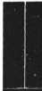 S. 333 Inserate (333)
