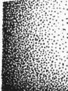 S. 1128 Inserate (1128)
