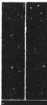 S. 333 Inserate (333)
