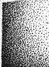 S. 432 Inserate (432)
