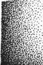 S. 1250 Inserate (1250)
