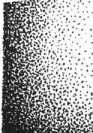 S. 1364 Inserate (1364)
