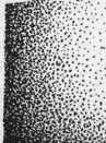 S. 556 Inserate (556)
