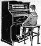 S. 559 Inserate (559)
