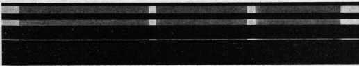 S. 153 Inserate (153)
