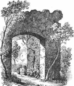 Nr. 23 Aus der Ruine Marstetten (63)
