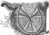 III. Verfassung und RechtNr. 104 Initial...