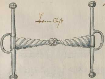 Knebeltrensen (89 )
