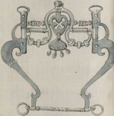 Hebelstangengebisse (Kandare) (90 )
