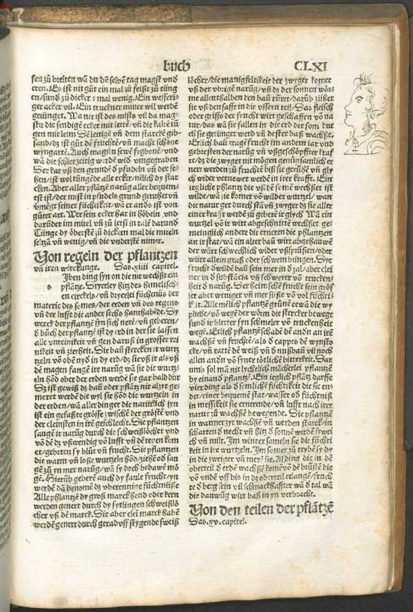 Federzeichnung eines männlichen Kopfes ... da