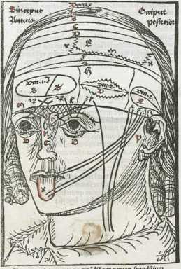 Illustration: Holzschnitt des menschlichen Kopfes ... da