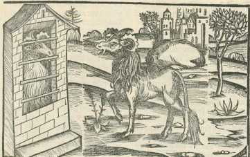 Figura din