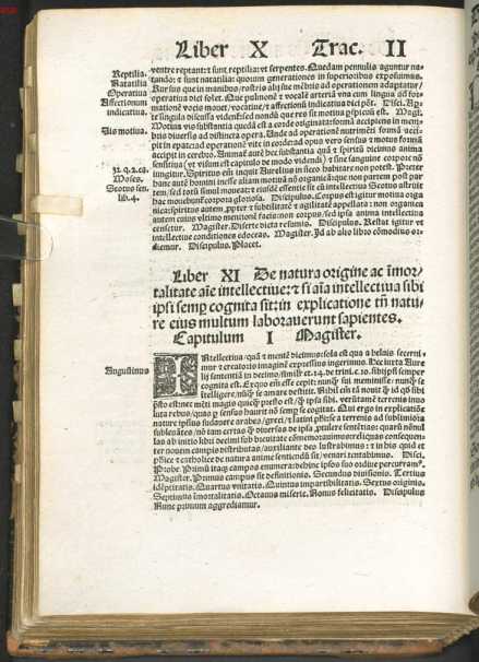Liber XI (#)
