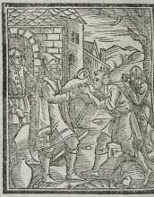 Figura din