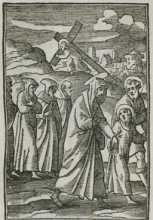 Figura din