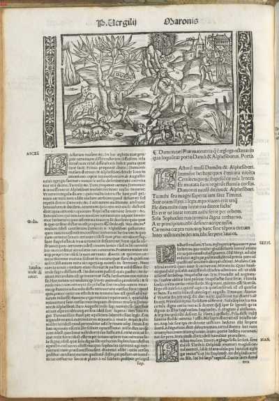 VP 1519 Pict. 009 (VP 1502) aus