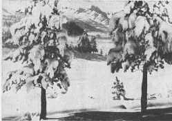03.01.1932
