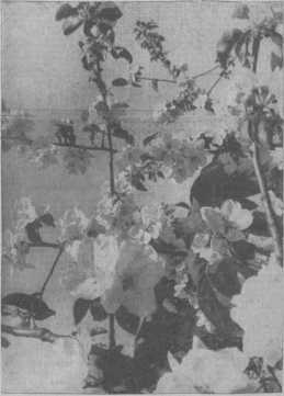22.05.1932
