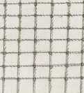 Fischerei in Rom (58r )
