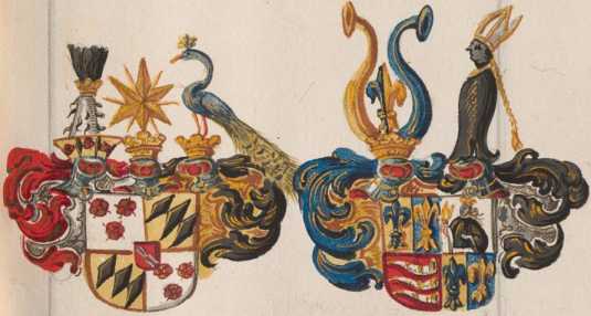 Kolorierte Illustration Wappen: Törring, Fugger ... de