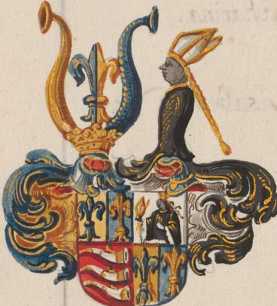 Kolorierte Illustration Wappen: Fugger, Törring ... from