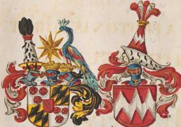 Wappen Chunegund 
