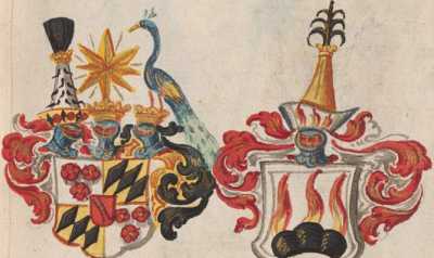 Wappen XII Henricus 

