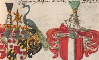 Wappen Wilhelmus von Törring 
