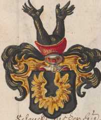 Wappen Jutta, alias Judith von Törring ...