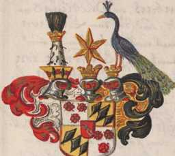 2 Wappen: von Törring
