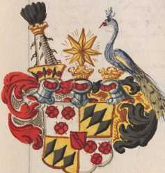 2 Wappen: Törring
