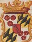 Wappen Walther von Törring 
