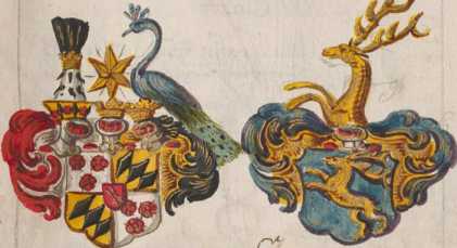 Wappen Raboldus von Törring 
