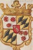 Wappen von Kammer
