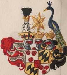 2 Wappen: Törring
