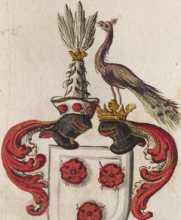 Wappen VIII Ardolph 
