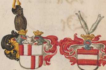 Wappen Fridericus von Törring 
