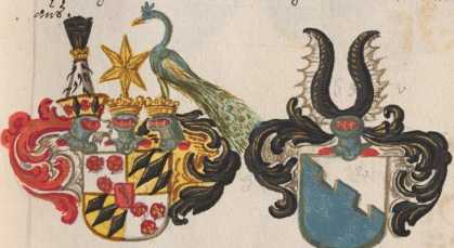 Wappen Burkhard von Törring 
