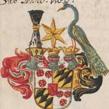 Wappen Seyfried von Törring 
