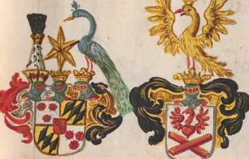 Wappen Hainrich von Törring 
