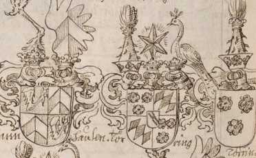 10 federgezeichnete Wappen
