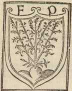 Figura de
