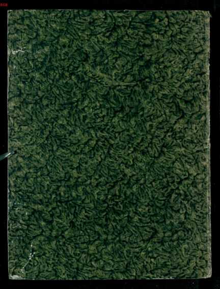 Figura da