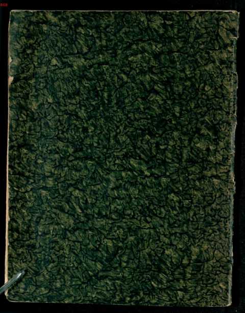 Figura da