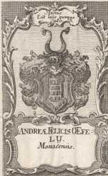 Vorderer Spiegel din