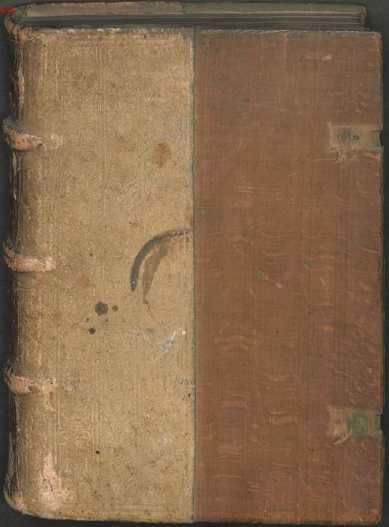 Figura da