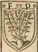 Figura de