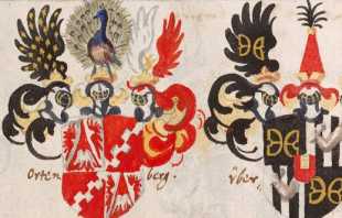 Wappen des Tunieradels (296 )
