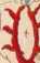 Familien- und Landeswappen des Reiches (...
